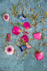Flat lay top down view image of romantic vintage look of Spring and Summer flower petals and blooms still life on rustic old worn background