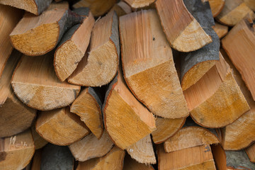 Fototapeta premium Chipped firewood of different tree species