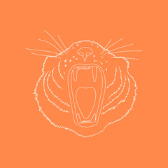 Tiger's head. Line art doodle sketch. White outline on orange background. Background can be used in greeting cards, posters, flyers, banners, logos etc. Vector illustration. EPS10