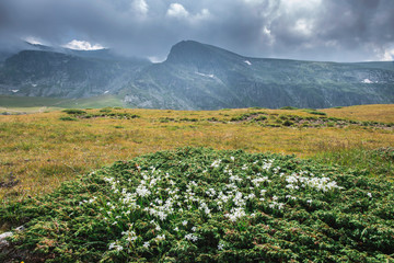 High mountain landscape. Dramatic sky