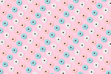 Pink, blue and white Chamomile or gerbera floral pattern.