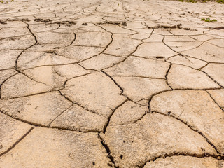 terre agricole aride en été