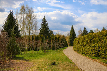Fototapeta na wymiar Walking trail through a green young park on a sunny day.