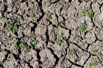 Soil erosion background