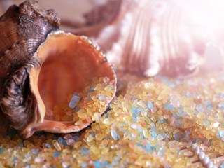 seashells and colored sea salt