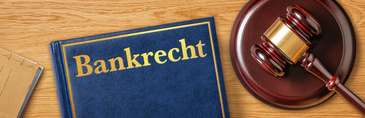 Richterhammer mit Gesetzbuch - Bankrecht