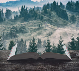 Fototapety  Carpathian mountain valley after the rain on a book