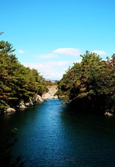river and forest jeju island