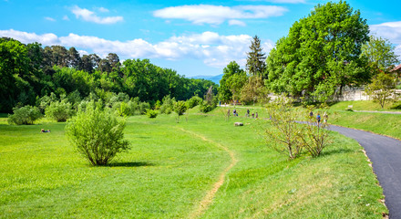 Fototapeta na wymiar people in the park on a sunny spring day, Dumbrava park, Sibiu, Romania