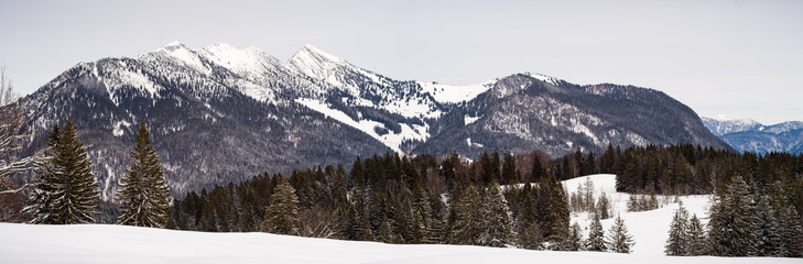 Österreichische Alpen