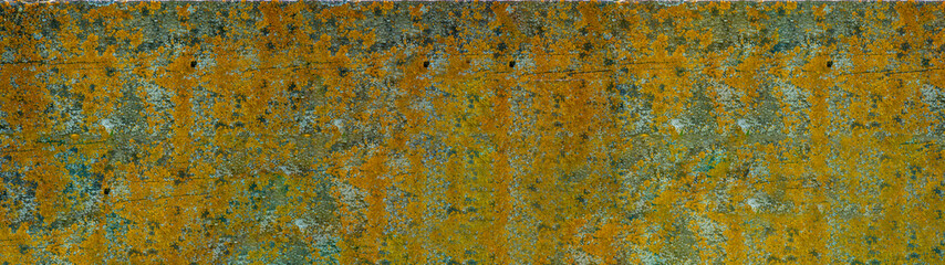 Rectangular structure background with lichens