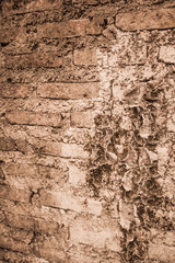 old wall texture