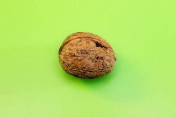 Ripe beautiful walnut perched on a green background