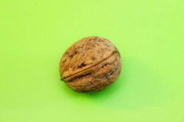 Ripe beautiful walnut perched on a green background