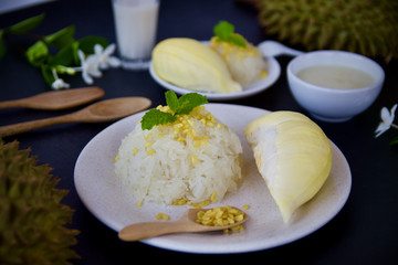 Durian and  sticky rice dessert. Thai food style