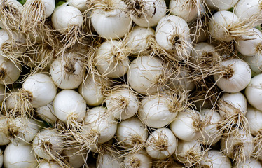 Cebollas, mercado de Blanes