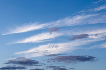 Background and texture of feather clouds on a blue sky.