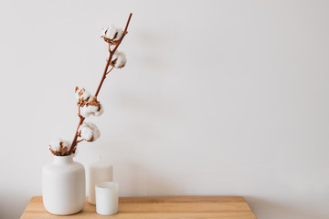 A branch of a cotton in vase at minimalistic interior.