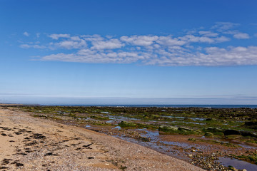 Looking north towards Arbroath from East Haven Beach with the Tide out and the seaweed covered Rock Strata visible at the low tide.