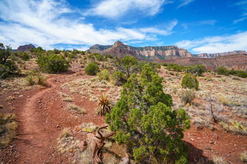 hiking the grandview trail at the south rim of grand canyon in arizona,usa