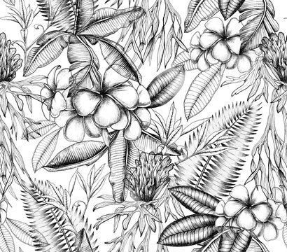 
Tropical black and white print with frangipani, fern, monoi, banana leaves. Tropical background with flowers and leaves.