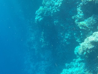 DCIM\100GOPRO\GOPR0802.JPG © Bogdan B