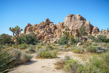 hiking the hidden valley trail in joshua tree national park, california, usa