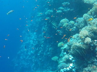 DCIM\100GOPRO\GOPR0819.JPG © Bogdan B