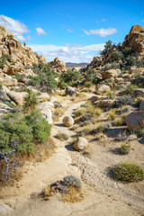 Naklejka premium hiking the hidden valley trail in joshua tree national park, california, usa