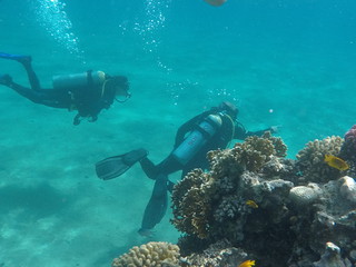 DCIM\100GOPRO\GOPR0707.JPG
