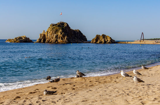 La Palomera y laplaya de Blanes
