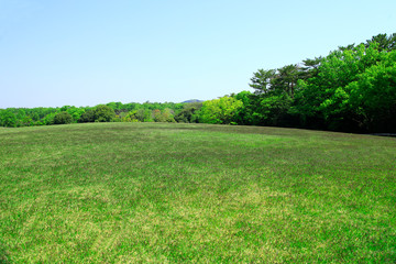 芝生広場　芝生公園　新緑の芝生　新緑の芝生広場　初夏の芝生広場　芝生　広場　新緑　公園　森林公園　青空広場　青空公園　グリーンパーク