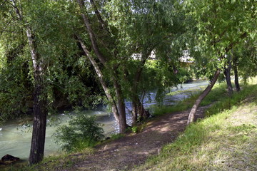 Fototapeta premium rivière et nature
