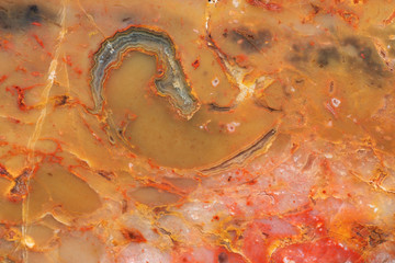 Closeup texture of red and yellow Jasper with the agate inclusion
