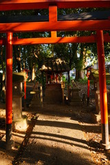 Fototapeta na wymiar Small Inari Shrine（小さな稲荷神社）
