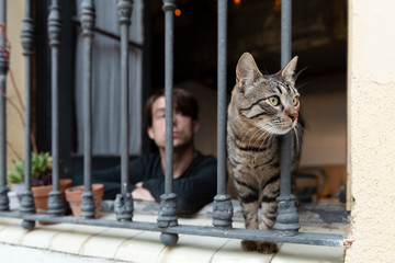 cat looking through the bars of a window with a man behind