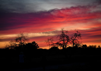 Fototapeta premium Dramatic sunset, with ghost tree and full moon