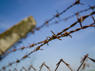 barbed wire against blue sky