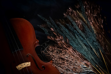 Dried flower plenty on background,beside half front side of violin,vintage and art tone,blurry...