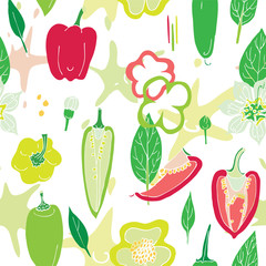Isolated on white vector seamless bell pepper salad pattern