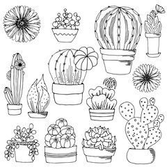 Set cacti and succulents in pots sketch black outline different elements isolated on white background. To decorate