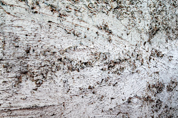 Textured stone wall.  Looks like snow-capped mountains or snow-capped treetops