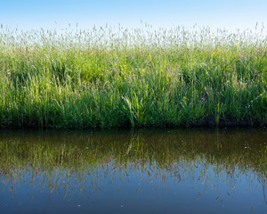 grass and flowers in meadow under blue sky reflected in water of canal