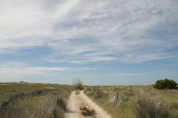 Weg durch die Camargue