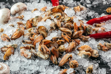 
fish on black wooden background