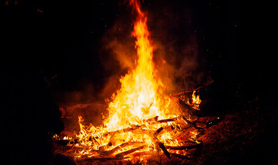 Big bonfire at night in the forest