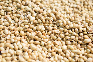 Cumin Seeds Indian Spices