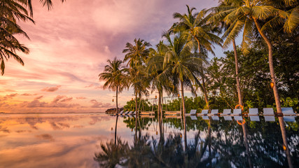Beautiful poolside and sunset sky with palm trees and pool reflection. Luxurious tropical beach landscape, deck chairs and loungers and water reflection. Amazing summer beach resort hotel, sunset view
