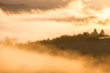 Fototapeta na wymiar Beautiful foggy landscape in the sunrise mountains. Fantastic morning foggy autumn hills glowing by sunlight.