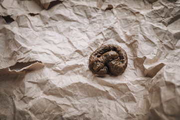 A small feces of a cat or dog lies in crumpled wrapping paper. The concept of fraudulent sending of...